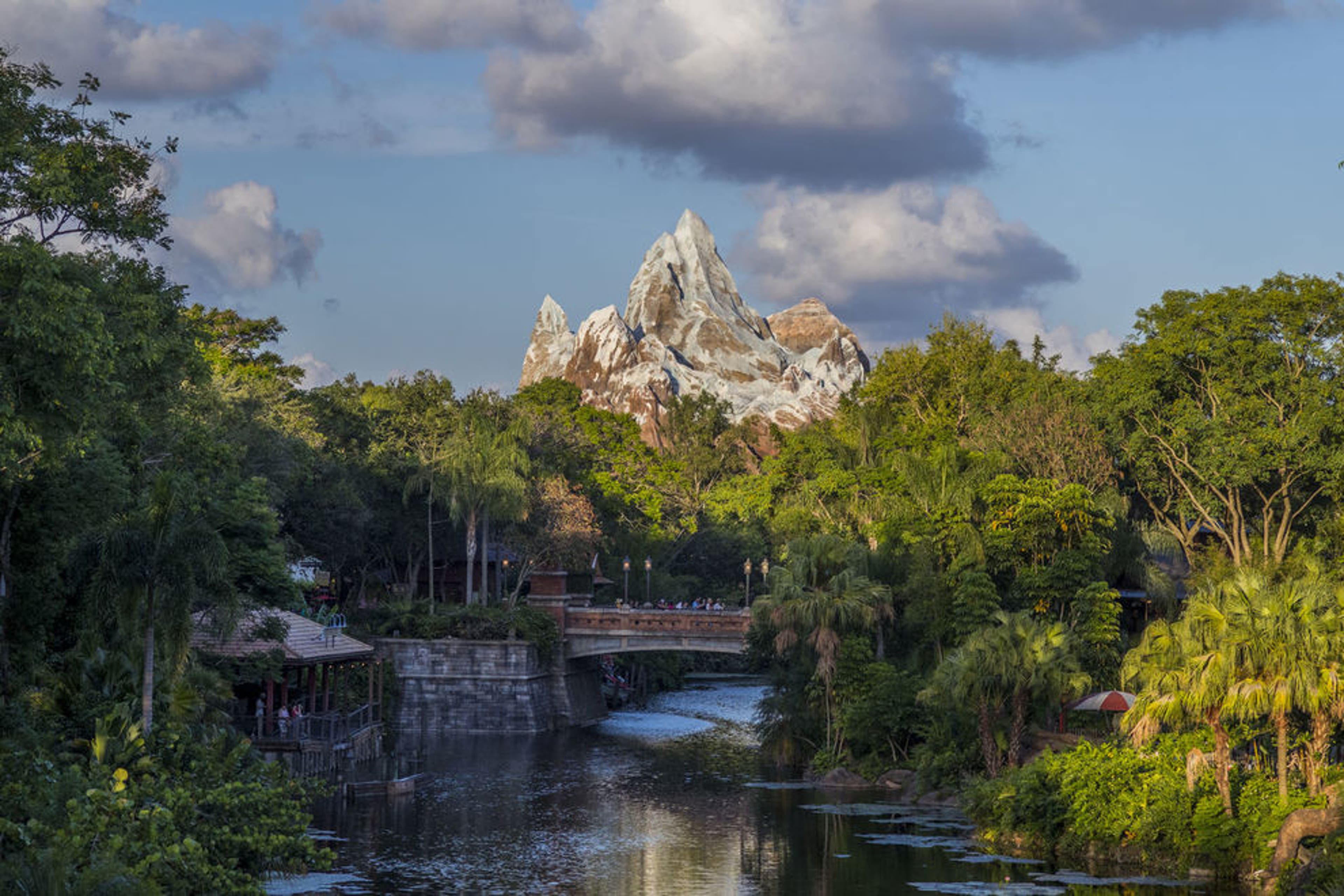 Where to Eat at Disney's Animal Kingdom: Best Food and How to Beat the Crowds at Disney's Animal Kingdom