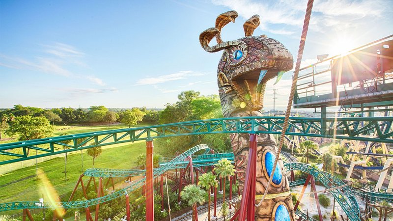 Roller Coaster Guide to Busch Gardens Tampa: Every Coaster Ranked at Busch Gardens Tampa