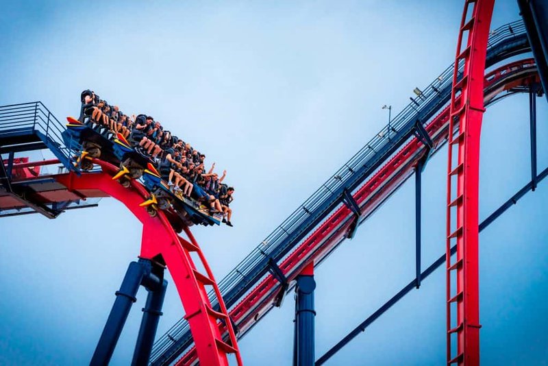 Visiting Busch Gardens Tampa Solo: The Complete Strategy Guide at Busch Gardens Tampa