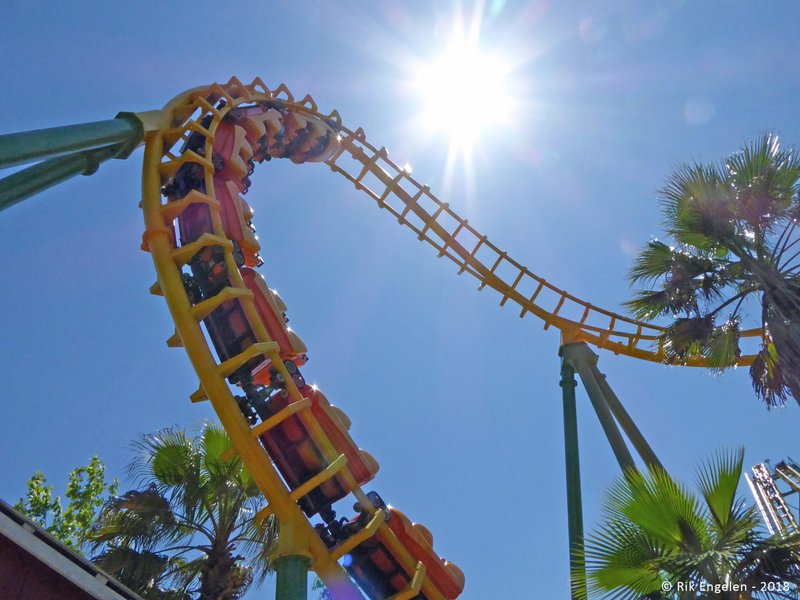 Skip the Line at Wild Adventures: Free Strategies and Crowd Timing Tips at Wild Adventures