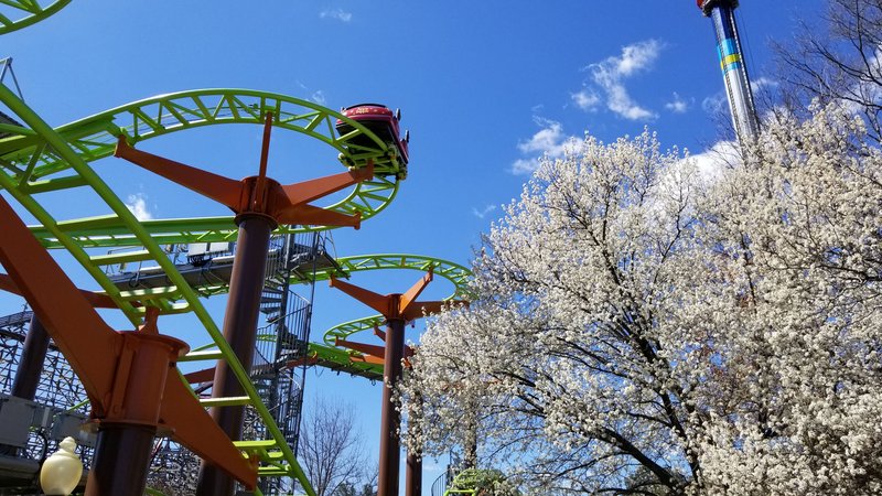 Theme Parks Near Washington, DC: Ranked by Wait Times